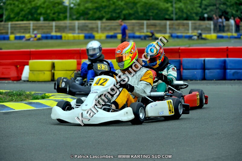 DSC_ (2361).jpg